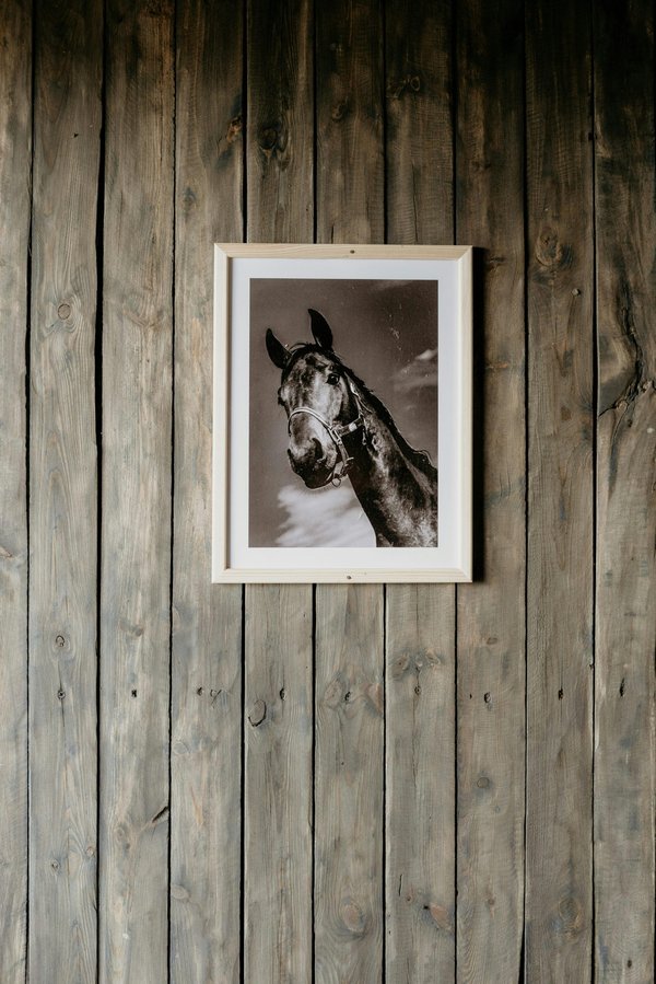 Le cheval décoratif : un atout charme pour votre déco